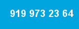 919 973 23 64